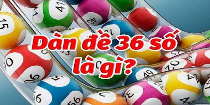 Giới thiệu dàn đề 36 và cách nuôi dàn đề 36 số